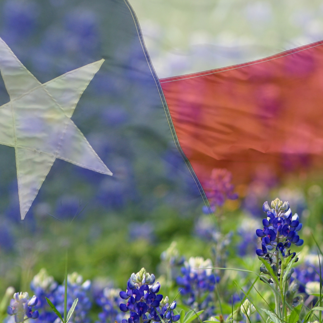 April 2022 Texas Legislative Updates