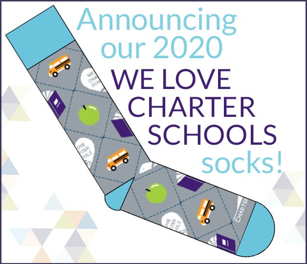 we love charter schools socks