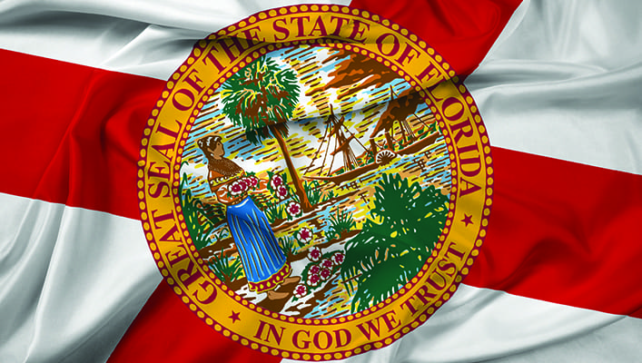 Florida Elections Update