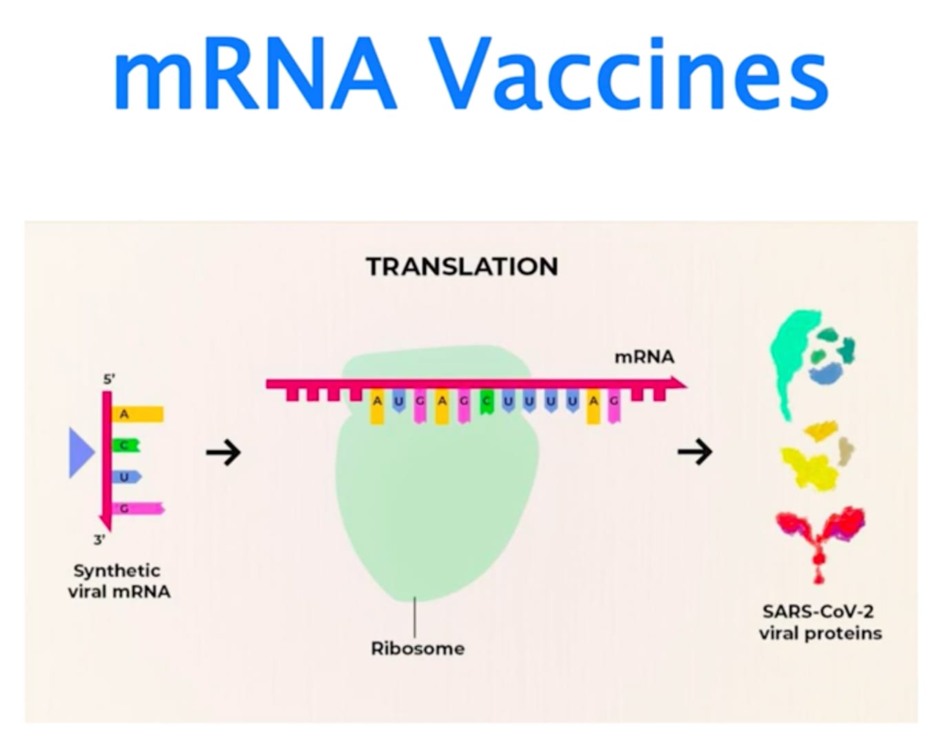 COVID-19 MRNA vaccines