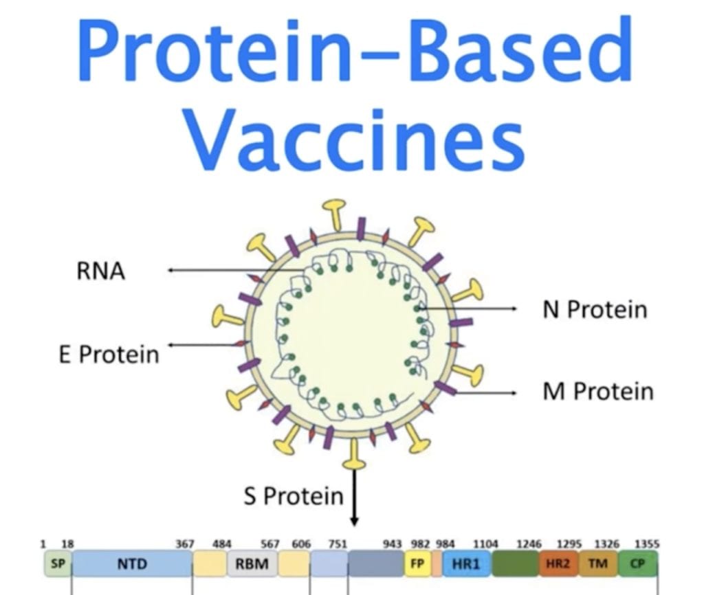 protein based COVID-19 vaccines