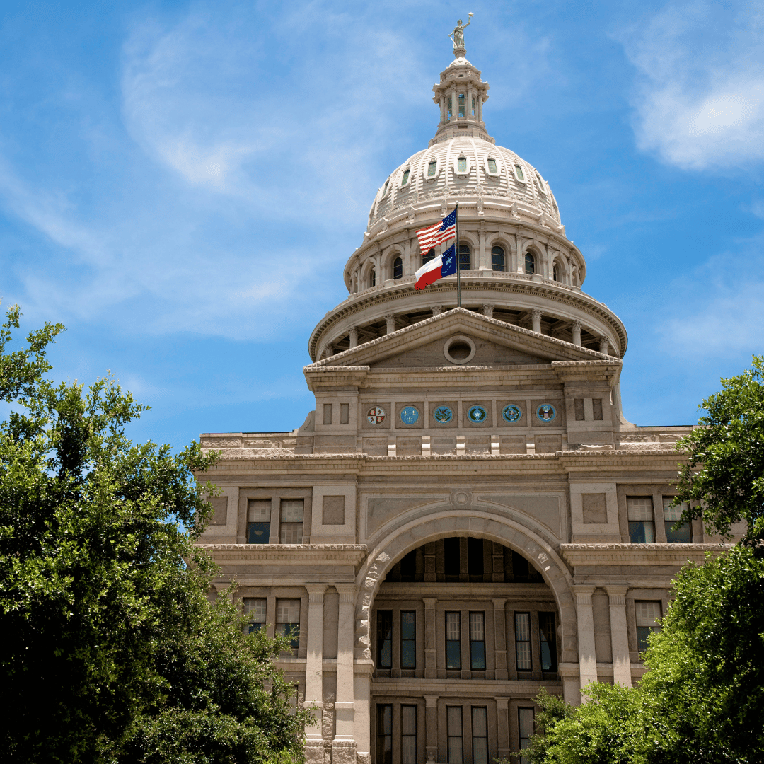 Texas Legislative Updates Jan