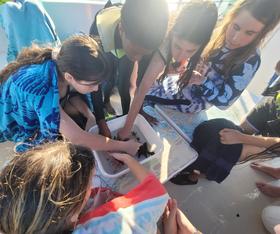 Palm Beach Maritime Academy Finds Its Forever Home Grow Schools Supports South Florida's Longest Running Charter School (4)